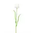 Kép 1/5 - EUROPALMS Crystal tulip, artificial flower, white 61cm 12x