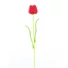 Kép 1/5 - EUROPALMS Crystal tulip,artificial flower, red 61cm 12x