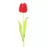 Kép 2/5 - EUROPALMS Crystal tulip,artificial flower, red 61cm 12x