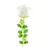 Kép 2/5 - EUROPALMS Crystal rose, white, artificial flower, 81cm 12x