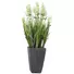 Kép 1/4 - EUROPALMS Lavender, artificial plant, cream, in pot, 45cm