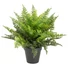 Kép 1/2 - EUROPALMS Fern bush in pot, artificial plant, 51 leaves, 48cm