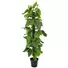 Kép 1/2 - EUROPALMS Pothos plant, artificial, 180cm