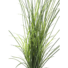 Kép 2/5 - EUROPALMS Reed (grass),  artificial, 145cm