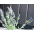 Kép 3/5 - EUROPALMS Lavender bush, artificial, 61cm