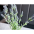 Kép 4/5 - EUROPALMS Lavender bush, artificial, 61cm