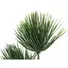 Kép 2/2 - EUROPALMS Papyrus plant, artificial, 100cm