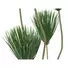 Kép 2/3 - EUROPALMS Papyrus plant, artificial, 130cm