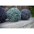 Kép 3/5 - EUROPALMS Grass ball, artificial,   blue, 22cm