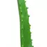 Kép 3/3 - EUROPALMS Aloe Vera Plant, artificial plant, 63cm