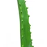 Kép 3/3 - EUROPALMS Aloe Vera Plant, artificial plant, 63cm