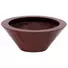 Kép 1/2 - EUROPALMS LEICHTSIN BOWL-15, shiny-red