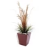 Kép 3/4 - EUROPALMS LEICHTSIN BASIC-50, shiny-red