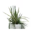 Kép 5/5 - EUROPALMS Design pot LAMELLA-140, white