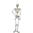 Kép 2/5 - EUROPALMS Halloween Skeleton, 150 cm