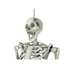 Kép 3/5 - EUROPALMS Halloween Skeleton, 150 cm