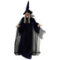 Kép 1/2 - EUROPALMS Halloween figure Witch, animated 175cm