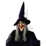 Kép 2/2 - EUROPALMS Halloween figure Witch, animated 175cm