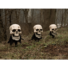 Kép 3/5 - EUROPALMS Halloween Skeleton Head with Stake, Set of 3, 29cm