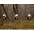 Kép 5/5 - EUROPALMS Halloween Skeleton Head with Stake, Set of 3, 29cm