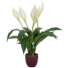 Kép 1/4 - EUROPALMS Lily Peace, artificial plant, 49cm