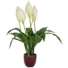 Kép 2/4 - EUROPALMS Lily Peace, artificial plant, 49cm
