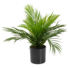 Kép 1/5 - EUROPALMS Areca Palm, artificial plant, 46 cm