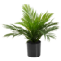 Kép 2/5 - EUROPALMS Areca Palm, artificial plant, 46 cm