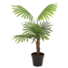 Kép 1/3 - EUROPALMS Fan palm, artificial plant, 88cm