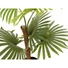 Kép 2/3 - EUROPALMS Fan palm, artificial plant, 88cm