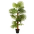 Kép 1/3 - EUROPALMS Fan Palm, artificial plant, 130cm