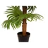 Kép 3/3 - EUROPALMS Fan palm, artificial plant, 130cm