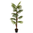 Kép 1/3 - EUROPALMS Fan palm, artificial plant, 155cm