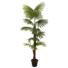 Kép 2/3 - EUROPALMS Fan palm, artificial plant, 155cm