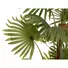 Kép 2/3 - EUROPALMS Fan palm, artificial plant, 165cm