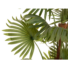 Kép 2/3 - EUROPALMS Fan palm, artificial plant, 165cm