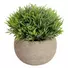 Kép 2/5 - EUROPALMS Table plants in pots, artificial plant, Set of 3