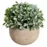 Kép 3/5 - EUROPALMS Table plants in pots, artificial plant, Set of 3