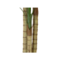 Kép 3/3 - EUROPALMS Areca palm, 3 trunks, artificial plant, 150cm