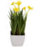 Kép 1/3 - EUROPALMS Daffodil, artificial plant, 23cm