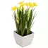 Kép 2/3 - EUROPALMS Daffodil, artificial plant, 23cm