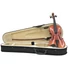 Kép 1/4 - DIMAVERY Violin 1/8 with bow in case