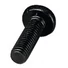 Kép 2/2 - ACCESSORY Screw M6 x 12 for Rail-Racks