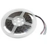 Kép 2/5 - EUROLITE LED Strip 300 5m 5050 RGB 12V