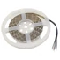 Kép 1/2 - EUROLITE LED Strip 300 5m 5050 RGB 24V