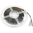 Kép 2/5 - EUROLITE LED Strip 300 5m RGBWW 24V