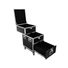 Kép 3/8 - ROADINGER Universal Roadie Case with wheels