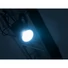 Kép 7/8 - EUROLITE LED PML-80 COB RGB 80W Spot/Wash
