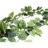 Kép 3/4 - EUROPALMS Pothos garland classic, artificial, 180cm