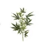 Kép 2/3 - EUROPALMS Cannabis-spra, artificial plant, 90cm